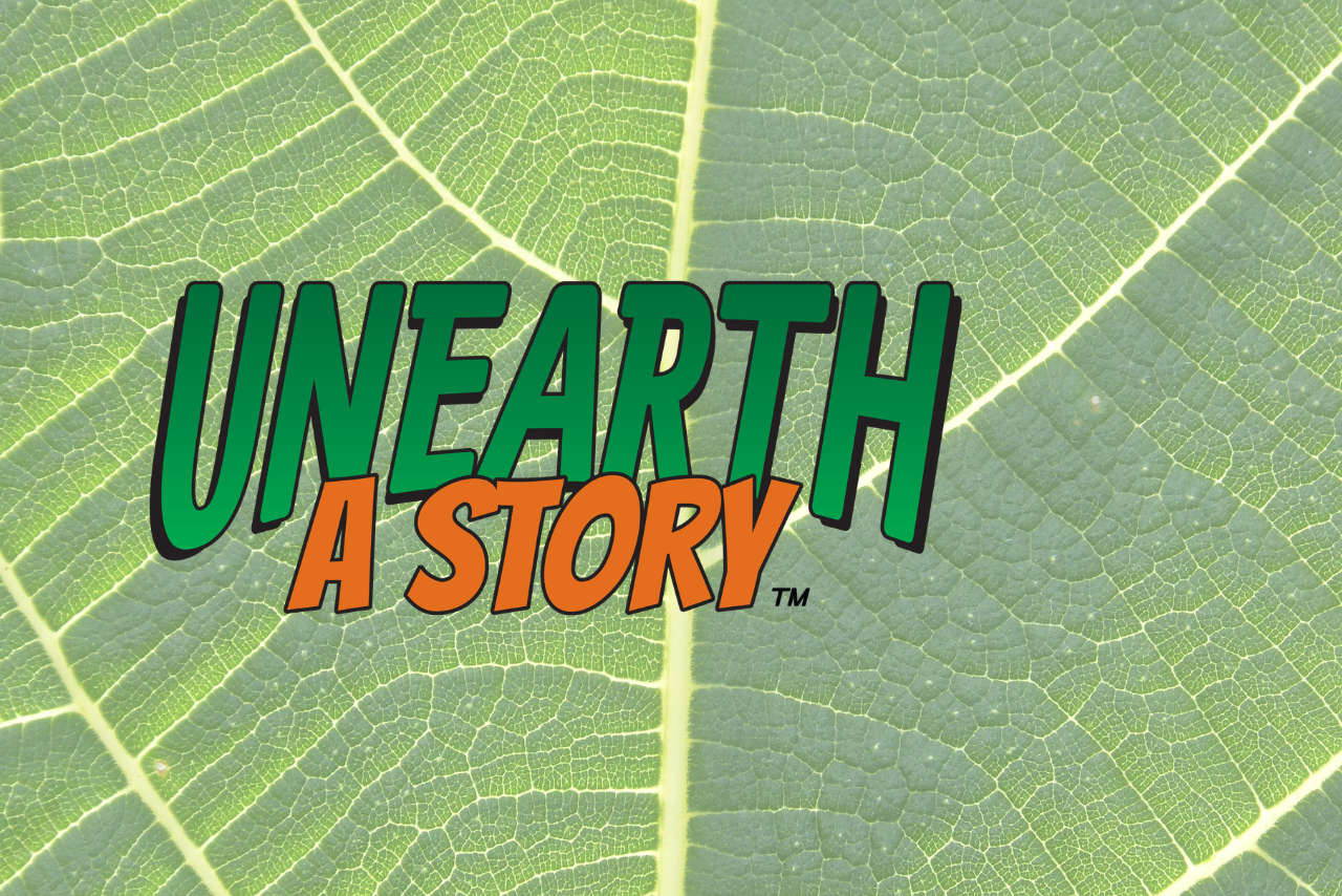 Unearth a Story