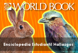 World Book Enciclopedia Estudiantil Hallazgos